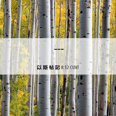 Picture 06 - 以 斯 帖 記 8:12 CUVT -  - Bible Verse Picture
