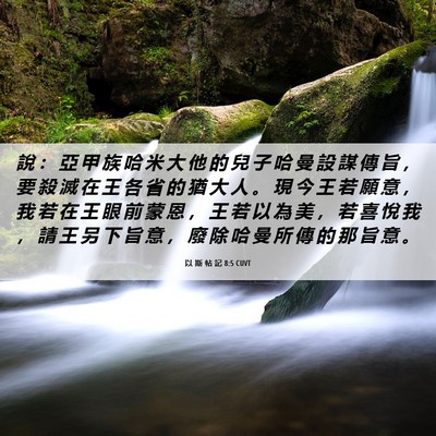 Picture 06 - 以 斯 帖 記 8:5 CUVT - 說 ： 亞 甲 族 哈 米 大 他 的 兒 子 - Bible Verse Picture