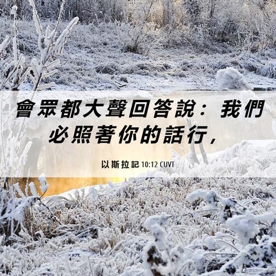 Picture 06 - 以 斯 拉 記 10:12 CUVT - 會 眾 都 大 聲 回 答 說 ： 我 們 必 - Bible Verse Picture