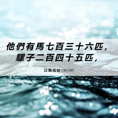 Picture 06 - 以 斯 拉 記 2:66 CUVT - 他 們 有 馬 七 百 三 十 六 匹 ， 騾 - Bible Verse Picture