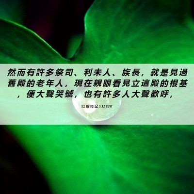 Picture 06 - 以 斯 拉 記 3:12 CUVT - 然 而 有 許 多 祭 司 、 利 未 人 、 - Bible Verse Picture