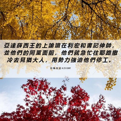 Picture 06 - 以 斯 拉 記 4:23 CUVT - 亞 達 薛 西 王 的 上 諭 讀 在 利 宏 - Bible Verse Picture