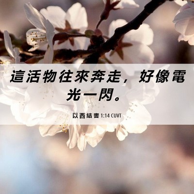 Picture 06 - 以 西 結 書 1:14 CUVT - 這 活 物 往 來 奔 走 ， 好 像 電 光 - Bible Verse Picture