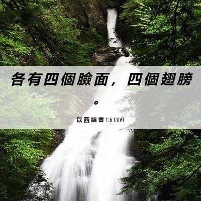 Picture 06 - 以 西 結 書 1:6 CUVT - 各 有 四 個 臉 面 ， 四 個 翅 膀 - Bible Verse Picture