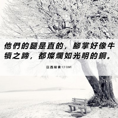 Picture 06 - 以 西 結 書 1:7 CUVT - 他 們 的 腿 是 直 的 ， 腳 掌 好 像 - Bible Verse Picture