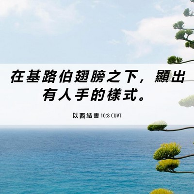 Picture 06 - 以 西 結 書 10:8 CUVT - 在 基 路 伯 翅 膀 之 下 ， 顯 出 有 - Bible Verse Picture