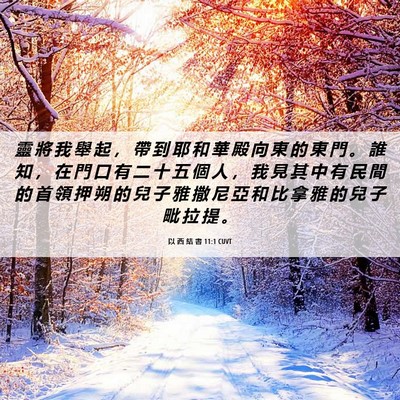 Picture 06 - 以 西 結 書 11:1 CUVT - 靈 將 我 舉 起 ， 帶 到 耶 和 華 殿 - Bible Verse Picture