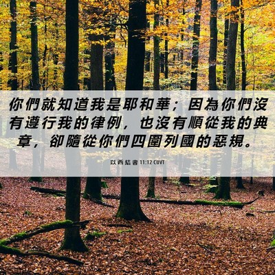 Picture 06 - 以 西 結 書 11:12 CUVT - 你 們 就 知 道 我 是 耶 和 華 ； 因 - Bible Verse Picture