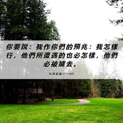 Picture 06 - 以 西 結 書 12:11 CUVT - 你 要 說 ： 我 作 你 們 的 預 兆 ： - Bible Verse Picture