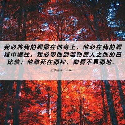Picture 06 - 以 西 結 書 12:13 CUVT - 我 必 將 我 的 網 撒 在 他 身 上 ， - Bible Verse Picture