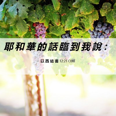 Picture 06 - 以 西 結 書 12:21 CUVT - 耶 和 華 的 話 臨 到 我 說 - Bible Verse Picture