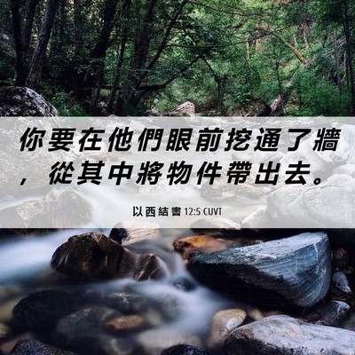 Picture 06 - 以 西 結 書 12:5 CUVT - 你 要 在 他 們 眼 前 挖 通 了 牆 ， - Bible Verse Picture