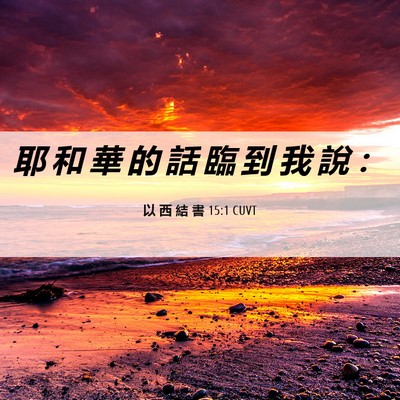 Picture 06 - 以 西 結 書 15:1 CUVT - 耶 和 華 的 話 臨 到 我 說 - Bible Verse Picture