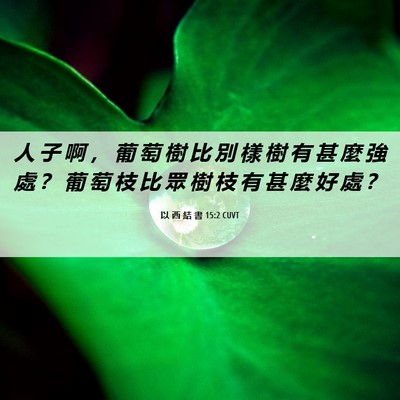 Picture 06 - 以 西 結 書 15:2 CUVT - 人 子 啊 ， 葡 萄 樹 比 別 樣 樹 有 - Bible Verse Picture