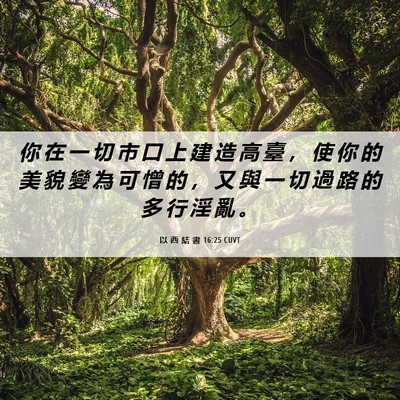 Picture 06 - 以 西 結 書 16:25 CUVT - 你 在 一 切 市 口 上 建 造 高 臺 ， - Bible Verse Picture