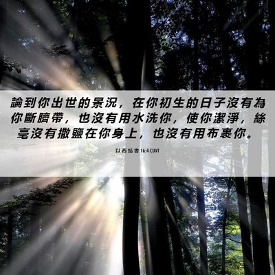 Picture 06 - 以 西 結 書 16:4 CUVT - 論 到 你 出 世 的 景 況 ， 在 你 初 - Bible Verse Picture