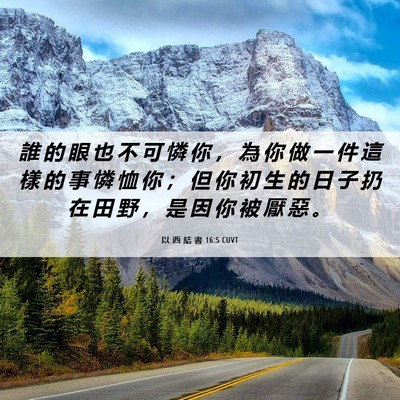Picture 06 - 以 西 結 書 16:5 CUVT - 誰 的 眼 也 不 可 憐 你 ， 為 你 做 - Bible Verse Picture