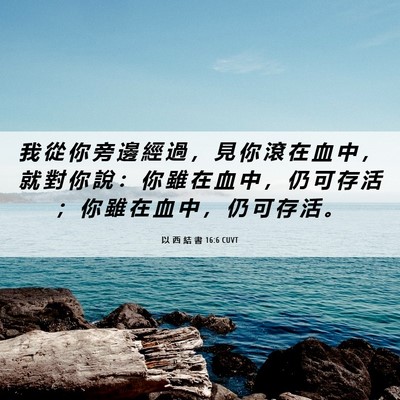 Picture 06 - 以 西 結 書 16:6 CUVT - 我 從 你 旁 邊 經 過 ， 見 你 滾 在 - Bible Verse Picture