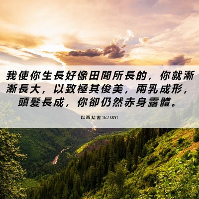 Picture 06 - 以 西 結 書 16:7 CUVT - 我 使 你 生 長 好 像 田 間 所 長 的 - Bible Verse Picture