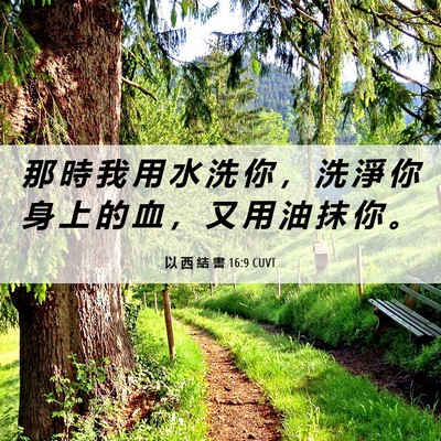 Picture 06 - 以 西 結 書 16:9 CUVT - 那 時 我 用 水 洗 你 ， 洗 淨 你 身 - Bible Verse Picture