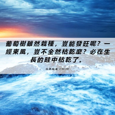Picture 06 - 以 西 結 書 17:10 CUVT - 葡 萄 樹 雖 然 栽 種 ， 豈 能 發 旺 - Bible Verse Picture