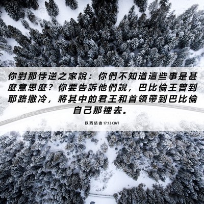 Picture 06 - 以 西 結 書 17:12 CUVT - 你 對 那 悖 逆 之 家 說 ： 你 們 不 - Bible Verse Picture