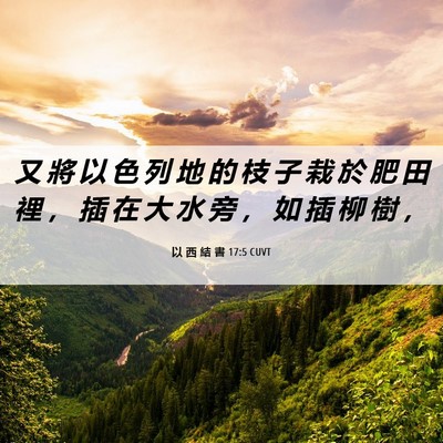Picture 06 - 以 西 結 書 17:5 CUVT - 又 將 以 色 列 地 的 枝 子 栽 於 肥 - Bible Verse Picture