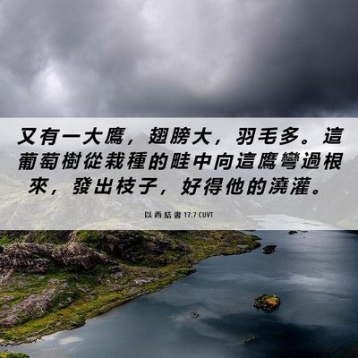 Picture 06 - 以 西 結 書 17:7 CUVT - 又 有 一 大 鷹 ， 翅 膀 大 ， 羽 毛 - Bible Verse Picture