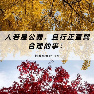 Picture 06 - 以 西 結 書 18:5 CUVT - 人 若 是 公 義 ， 且 行 正 直 與 合 - Bible Verse Picture