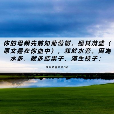 Picture 06 - 以 西 結 書 19:10 CUVT - 你 的 母 親 先 前 如 葡 萄 樹 ， 極 - Bible Verse Picture