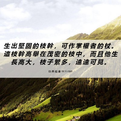 Picture 06 - 以 西 結 書 19:11 CUVT - 生 出 堅 固 的 枝 幹 ， 可 作 掌 權 - Bible Verse Picture