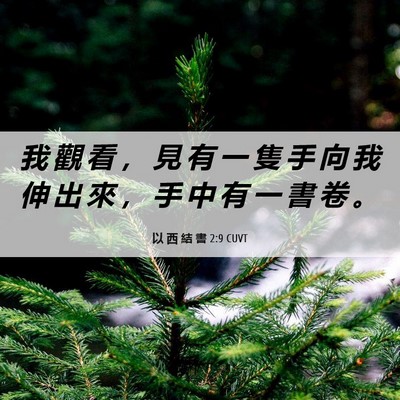 Picture 06 - 以 西 結 書 2:9 CUVT - 我 觀 看 ， 見 有 一 隻 手 向 我 伸 - Bible Verse Picture