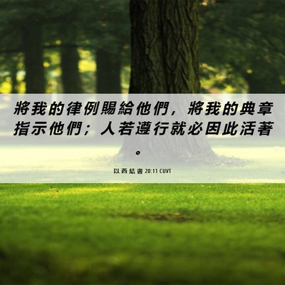 Picture 06 - 以 西 結 書 20:11 CUVT - 將 我 的 律 例 賜 給 他 們 ， 將 我 - Bible Verse Picture