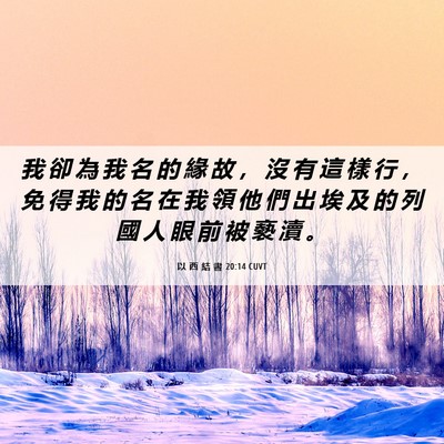 Picture 06 - 以 西 結 書 20:14 CUVT - 我 卻 為 我 名 的 緣 故 ， 沒 有 這 - Bible Verse Picture