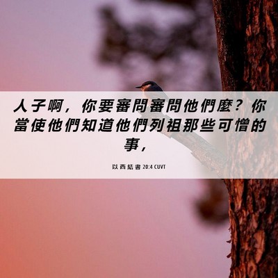 Picture 06 - 以 西 結 書 20:4 CUVT - 人 子 啊 ， 你 要 審 問 審 問 他 們 - Bible Verse Picture