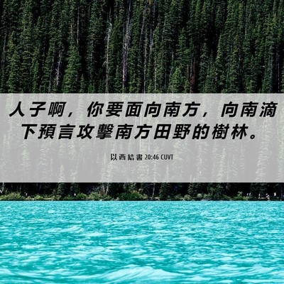 Picture 06 - 以 西 結 書 20:46 CUVT - 人 子 啊 ， 你 要 面 向 南 方 ， 向 - Bible Verse Picture