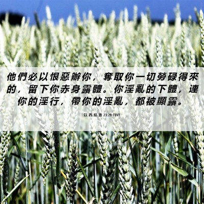 Picture 06 - 以 西 結 書 23:29 CUVT - 他 們 必 以 恨 惡 辦 你 ， 奪 取 你 - Bible Verse Picture