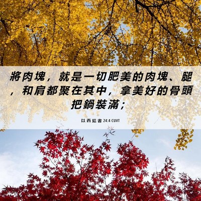 Picture 06 - 以 西 結 書 24:4 CUVT - 將 肉 塊 ， 就 是 一 切 肥 美 的 肉 - Bible Verse Picture