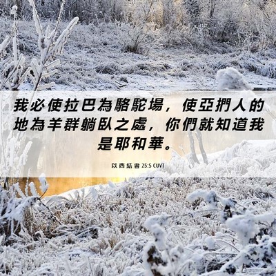 Picture 06 - 以 西 結 書 25:5 CUVT - 我 必 使 拉 巴 為 駱 駝 場 ， 使 亞 - Bible Verse Picture