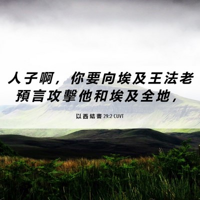 Picture 06 - 以 西 結 書 29:2 CUVT - 人 子 啊 ， 你 要 向 埃 及 王 法 老 - Bible Verse Picture