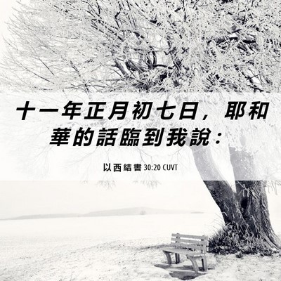 Picture 06 - 以 西 結 書 30:20 CUVT - 十 一 年 正 月 初 七 日 ， 耶 和 華 - Bible Verse Picture