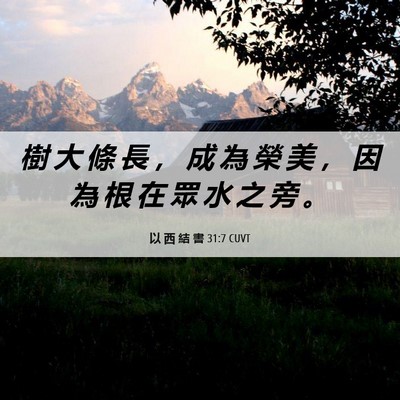 Picture 06 - 以 西 結 書 31:7 CUVT - 樹 大 條 長 ， 成 為 榮 美 ， 因 為 - Bible Verse Picture