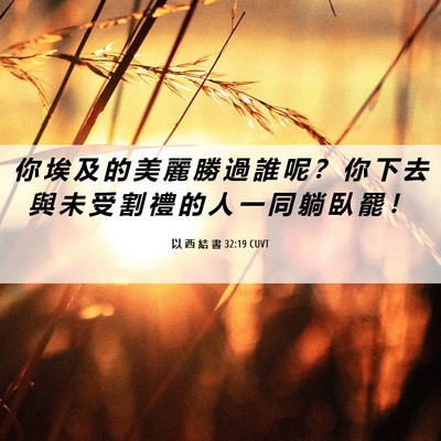Picture 06 - 以 西 結 書 32:19 CUVT - 你 埃 及 的 美 麗 勝 過 誰 呢 ？ 你 - Bible Verse Picture