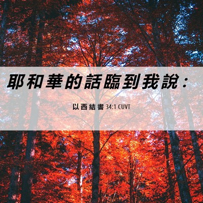 Picture 06 - 以 西 結 書 34:1 CUVT - 耶 和 華 的 話 臨 到 我 說 - Bible Verse Picture