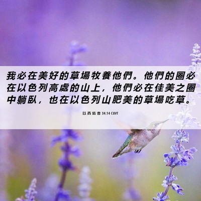 Picture 06 - 以 西 結 書 34:14 CUVT - 我 必 在 美 好 的 草 場 牧 養 他 們 - Bible Verse Picture
