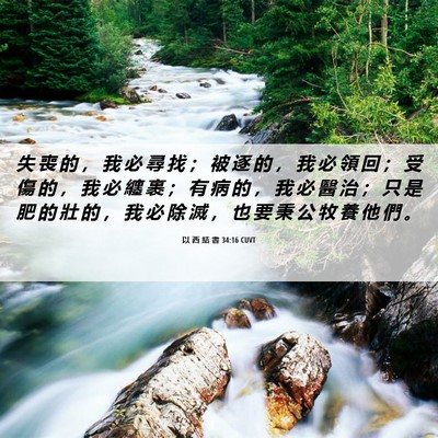 Picture 06 - 以 西 結 書 34:16 CUVT - 失 喪 的 ， 我 必 尋 找 ； 被 逐 的 - Bible Verse Picture