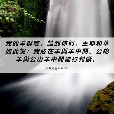 Picture 06 - 以 西 結 書 34:17 CUVT - 我 的 羊 群 哪 ， 論 到 你 們 ， 主 - Bible Verse Picture