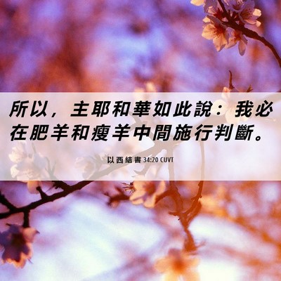 Picture 06 - 以 西 結 書 34:20 CUVT - 所 以 ， 主 耶 和 華 如 此 說 ： 我 - Bible Verse Picture