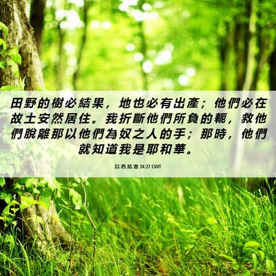 Picture 06 - 以 西 結 書 34:27 CUVT - 田 野 的 樹 必 結 果 ， 地 也 必 有 - Bible Verse Picture