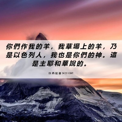 Picture 06 - 以 西 結 書 34:31 CUVT - 你 們 作 我 的 羊 ， 我 草 場 上 的 - Bible Verse Picture